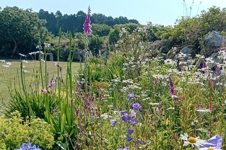Perennial Beds
