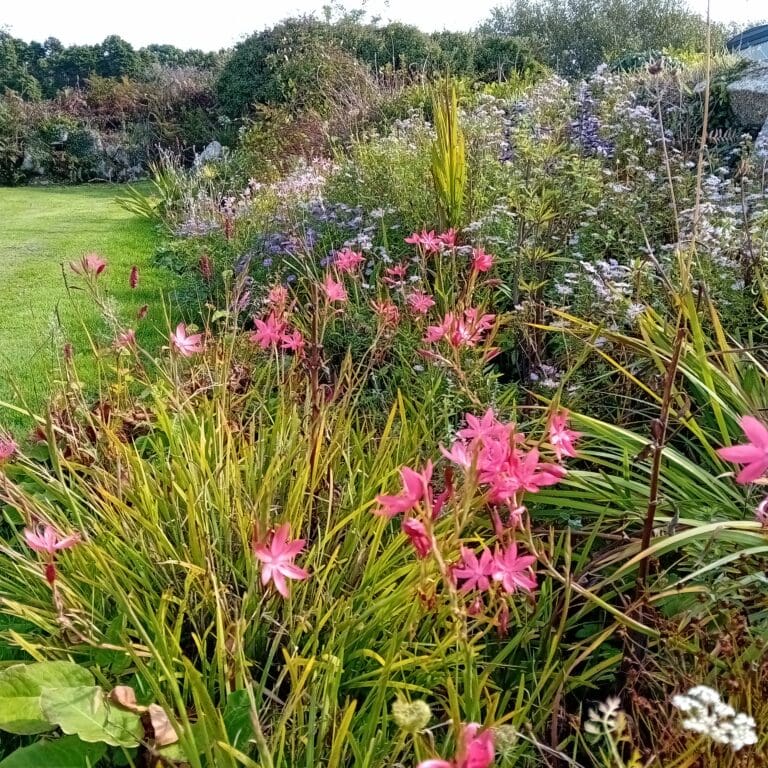Autumn colour